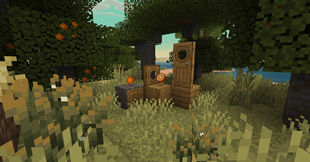 Orange Showcase