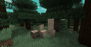 White Pine Showcase