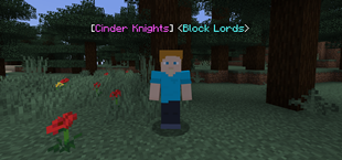 Nametag.png
