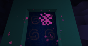 CODER Portal