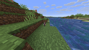 totems look like this