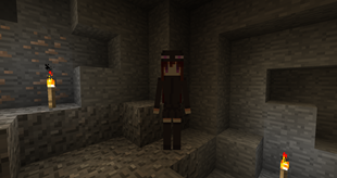 Enderwoman Maid