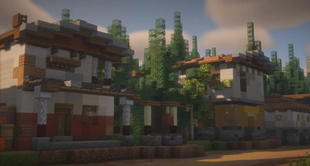 17618152-minecraft-singleplayer-pm_l.webp