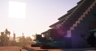 18192305-minecraft-singleplayer-pm_l.webp