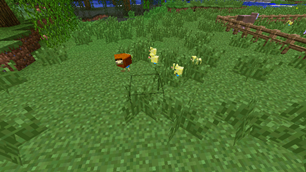 Test 4