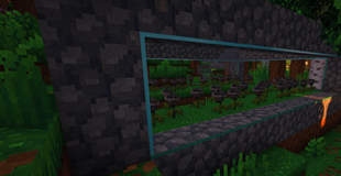 environmental disturbance.png