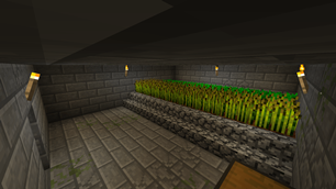 Prototype Farm