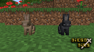 4brownandblack_rabbits.png