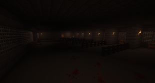 Enigmatic Prison
