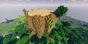 Big Tree Stump