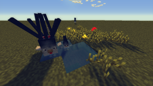 Test1