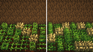 Comparison