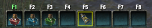 Expanded Quick Slot Bar