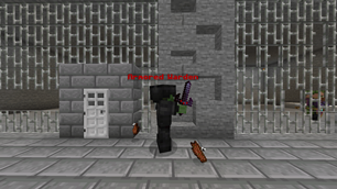 Prison Guard