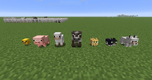 imagen_2026-01-10_162218599.png