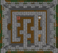 Swamp Maze!