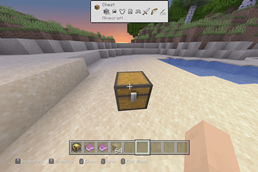 Chest