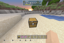Chest