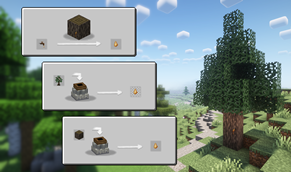 Basic Sap harvesting from Rubber Trees