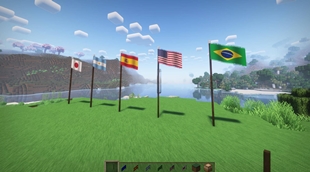 Some country flags