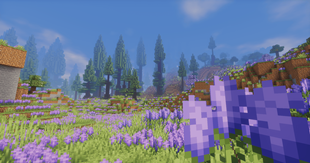 Biomes