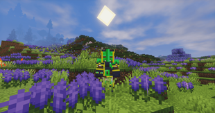 Armors (1)