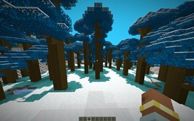 The Frozen Echo Biome