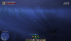 underwater view.png