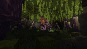 Screenshot 2026-01-11 012124.png
