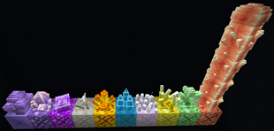 budding_showcase.png