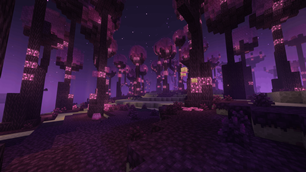 new end biome