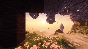 cherry sunset