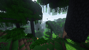 jungle