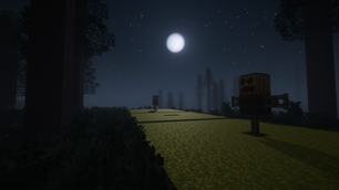 Wheat Field