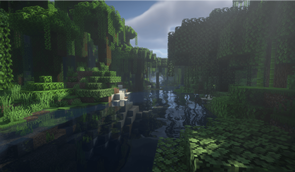 forest river.png