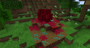 Activated reactor in the early stages of infection