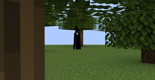 Hiding