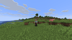 Holding Soul Torch (shaders soon)