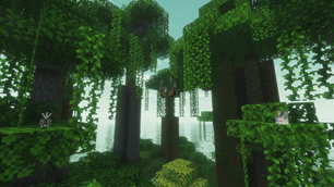 jungle.png