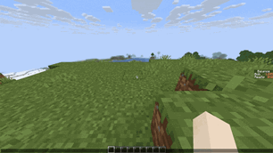 shop_presentation.gif
