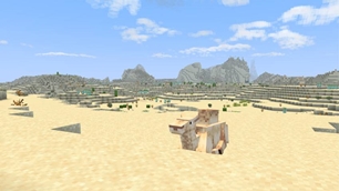 Desert Biome.jpg