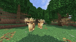 More Mobs.jpg