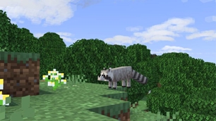 New Fauna.jpg