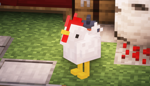 Animals.png