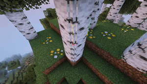 Logs.png