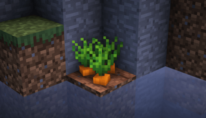 Plants.png