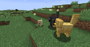 Retriever Variants