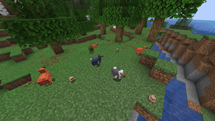 Dodos