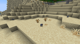 Baby Dodos