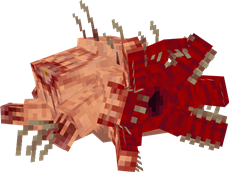 Reformed Anelidium